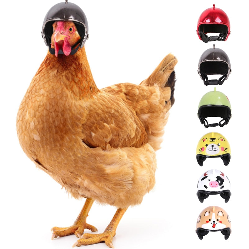 Pet Chicken Helmet Small Pet Poultry Bird Duck Headgear Hat Caps Head Protector Bird Head Helmet
