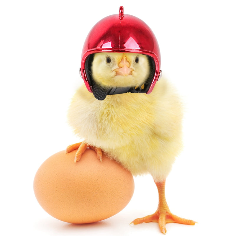 Pet Chicken Helmet Small Pet Poultry Bird Duck Headgear Hat Caps Head Protector Bird Head Helmet